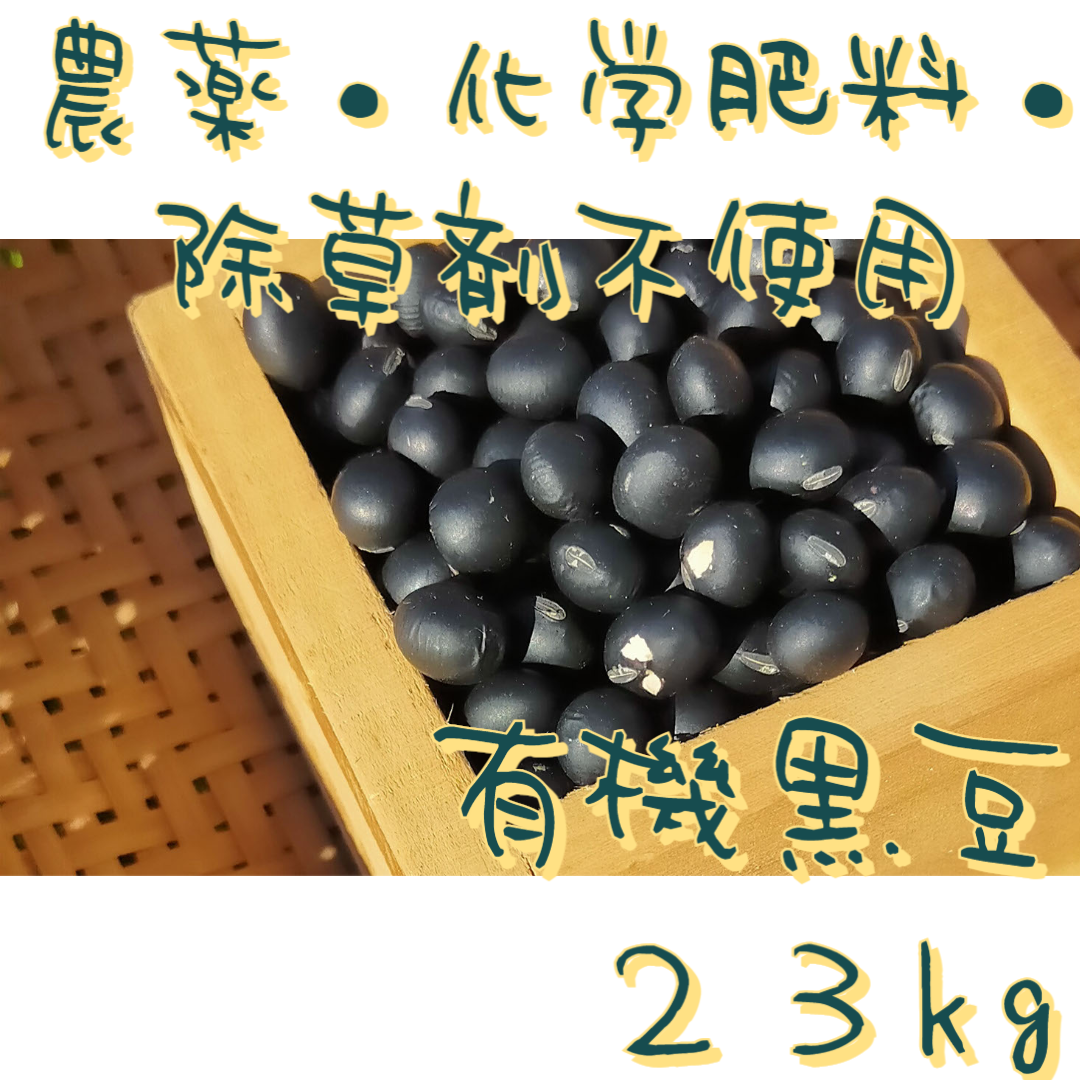 有機黒豆（1ｋｇ×23）農薬・化学肥料・除草剤不使用 北海道産いわいくろ