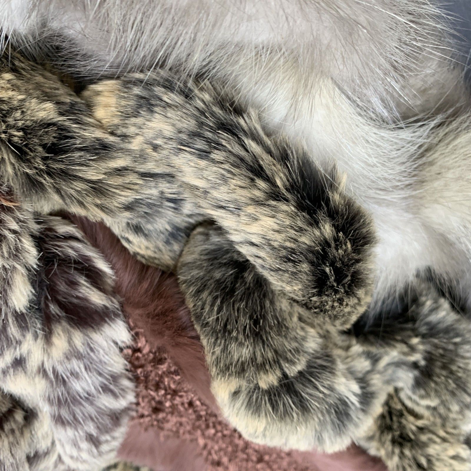 N336 未使用保管品 毛皮4点おまとめ ムーンバット他 リアルファー ティ