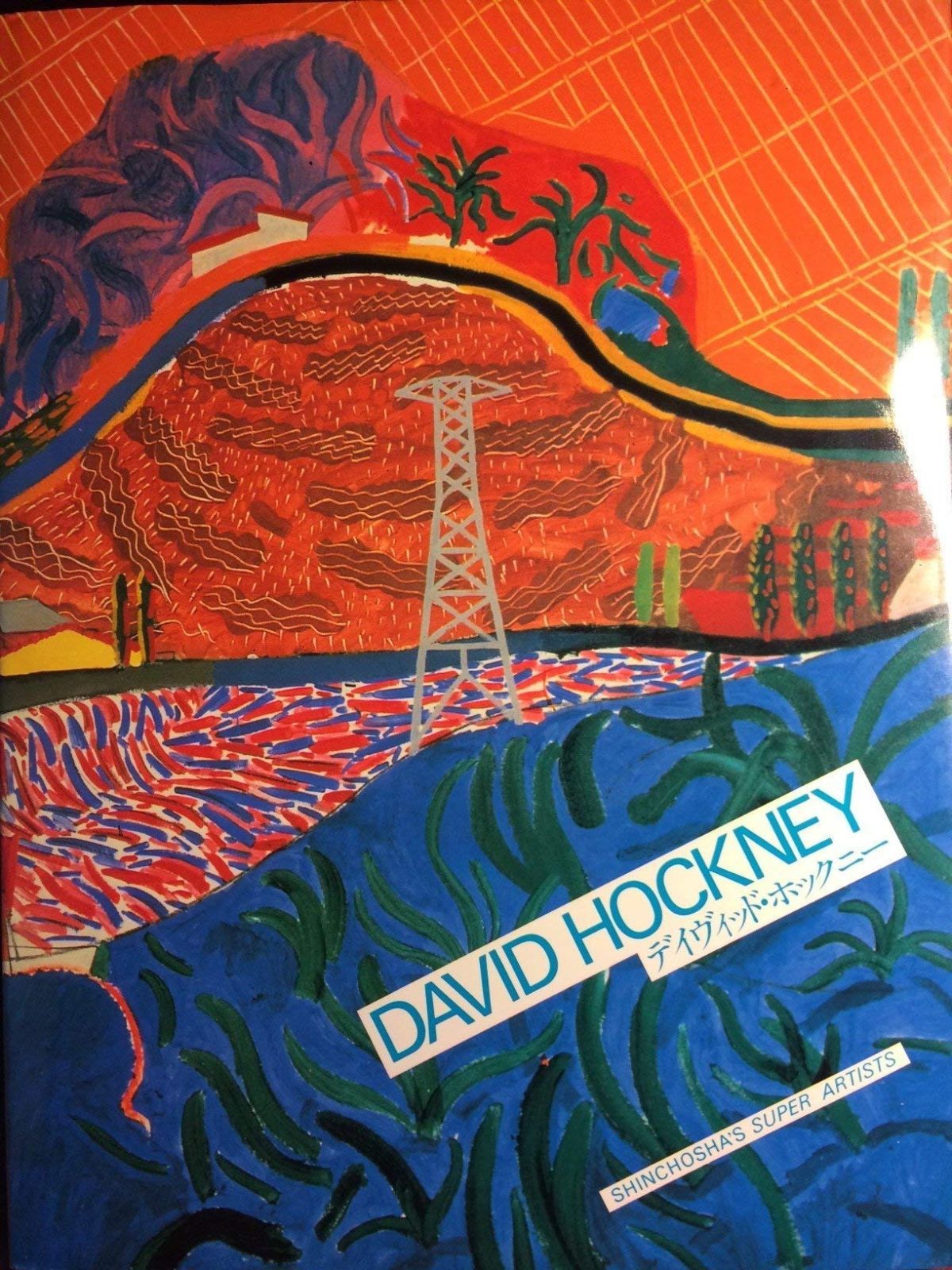 デイヴィッド ホックニー スーパーアーチスト