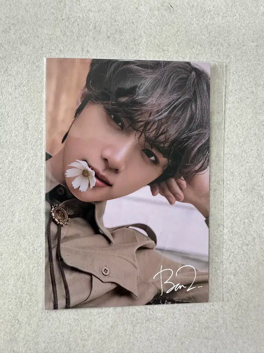 TXT アンケート トレカ FC ボムギュ TXT ボムギュ FC限定 アンケート