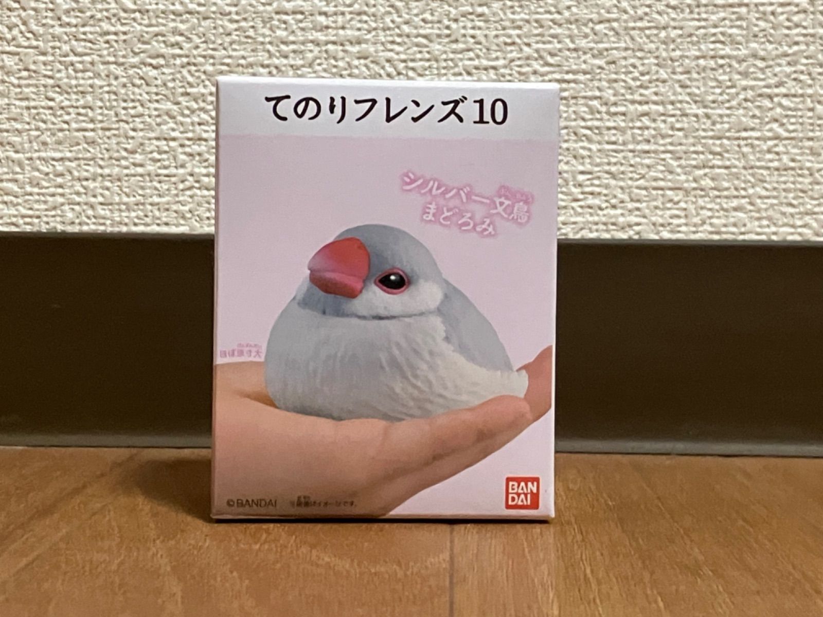 てのりフレンズ10 桜文鳥 まどろみ シルバー文鳥 まどろみ - 鳥