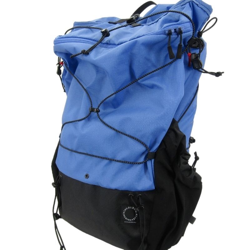 超極美品 ルイヴィトン タイガ カシアー アルドワーズ リュックサック