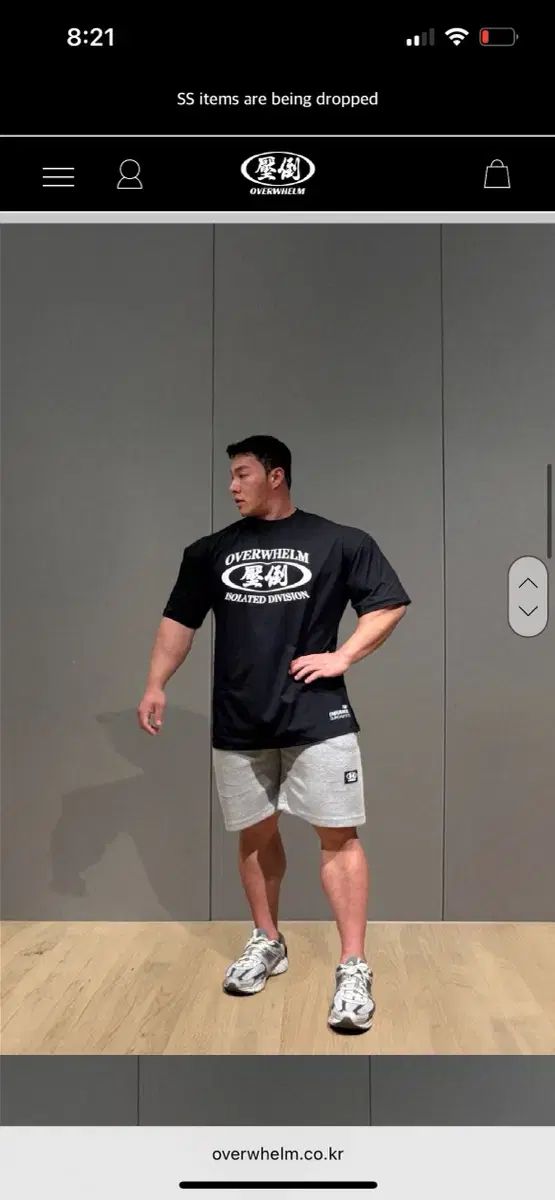 ビッグロゴ バックボード