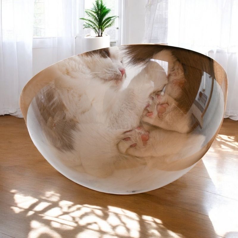 猫タワー
