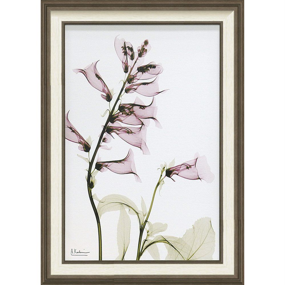 工場 ꧁極美品꧂ ヴァンガード 5.6 ファイヤーワイヤー ショートボード