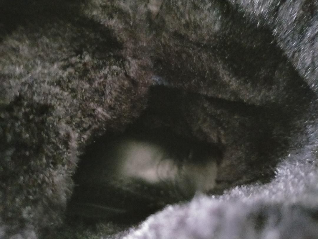 8ホールブーツ UK