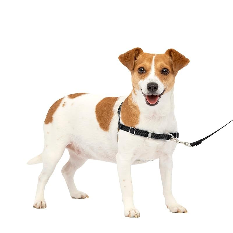 PetSafe イージーウォークハーネス S ブラック＆シルバー 1