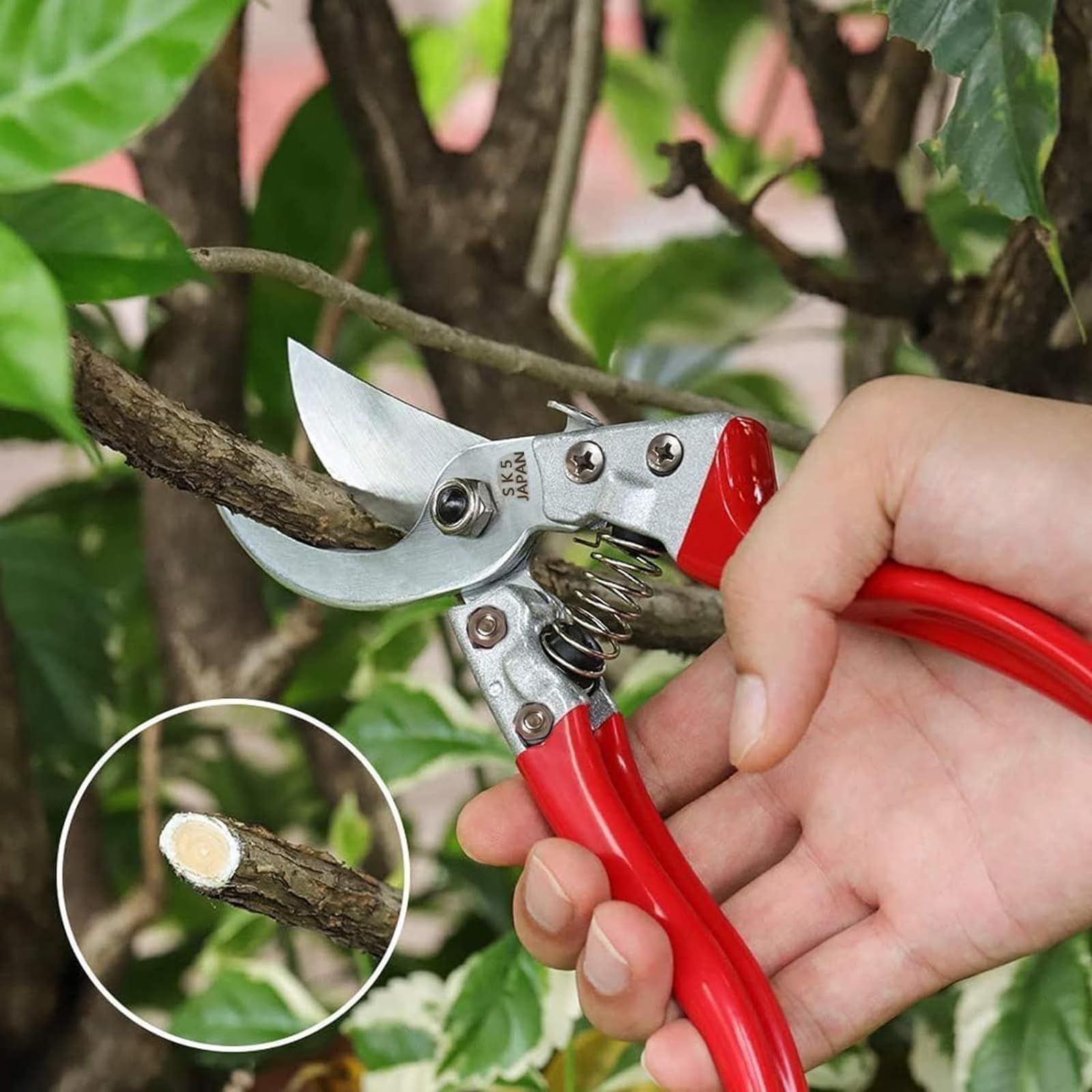 新品 AnT剪定バサミ、剪定鋏、剪定はさみ 、枝切りバサミ、園芸