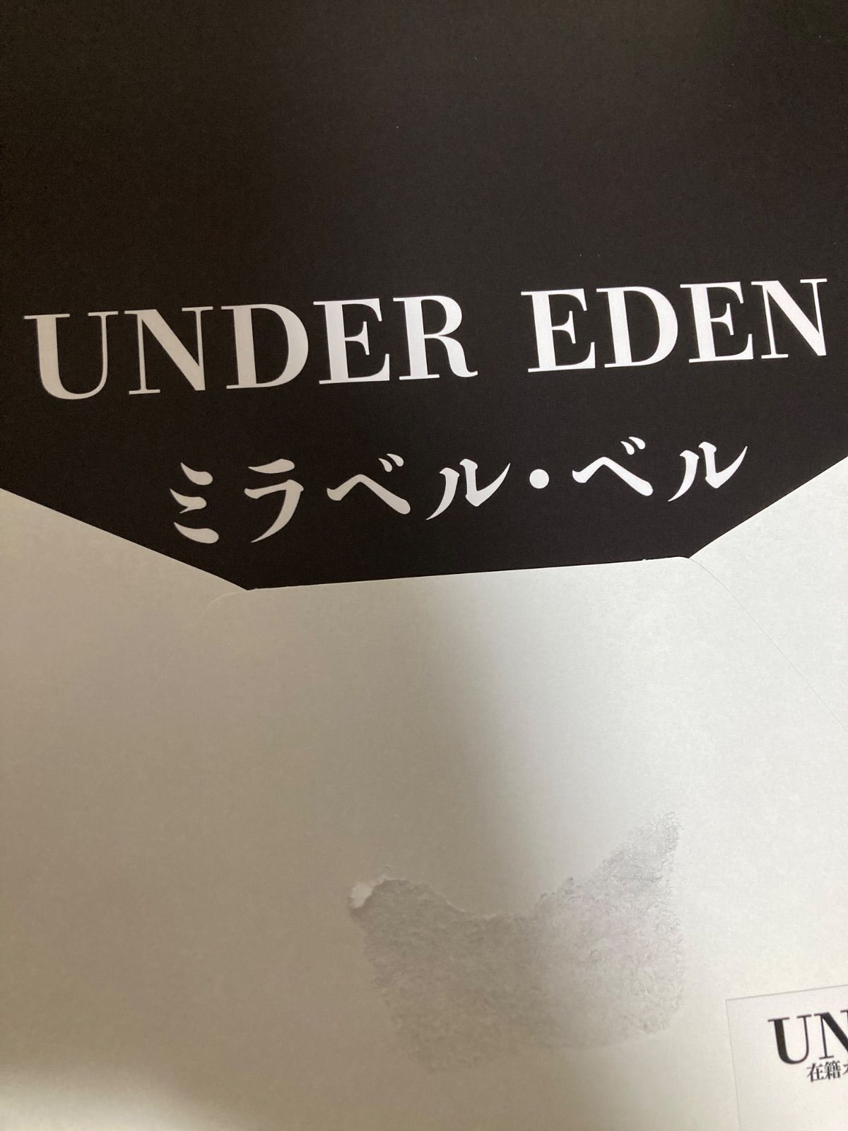 対魔忍 アンダーエデン公式グッズ 在籍オススメ嬢3Dカード