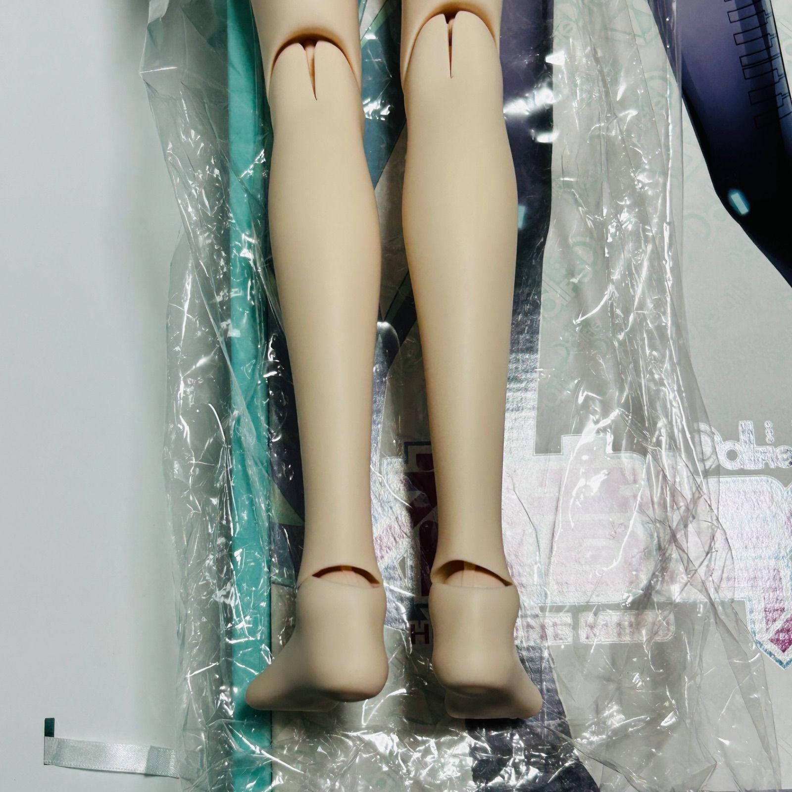 ドルフィードリーム