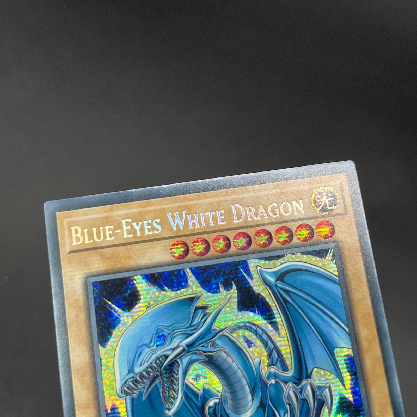 遊戯王 青眼 ブルーアイズ 関連カード EU 英語 1st シークレット 遊戯王 英語 青眼の白龍 シークレット FL1 ブルーアイズ EXの通販