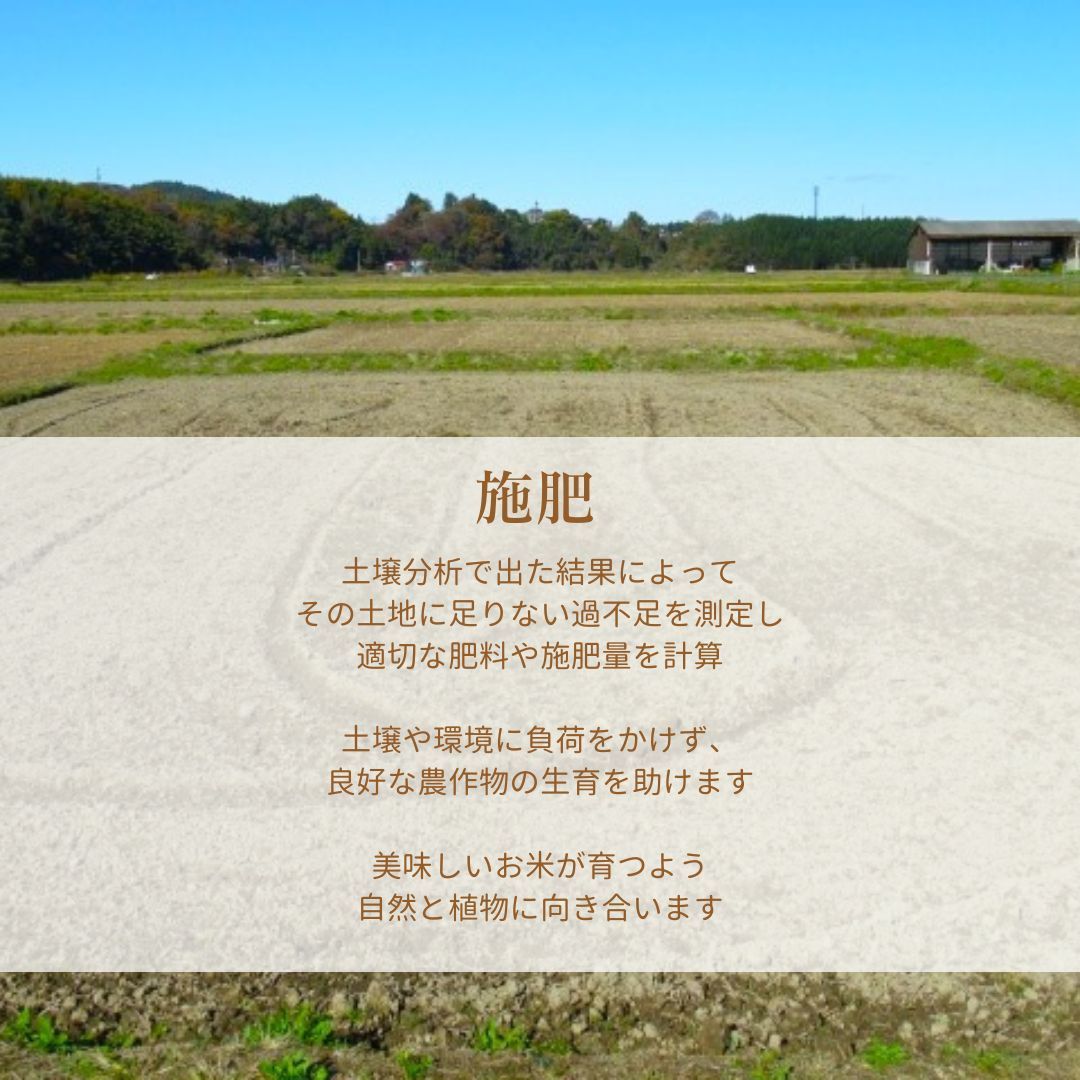 おおひがし稲作研究会 天のつぶ