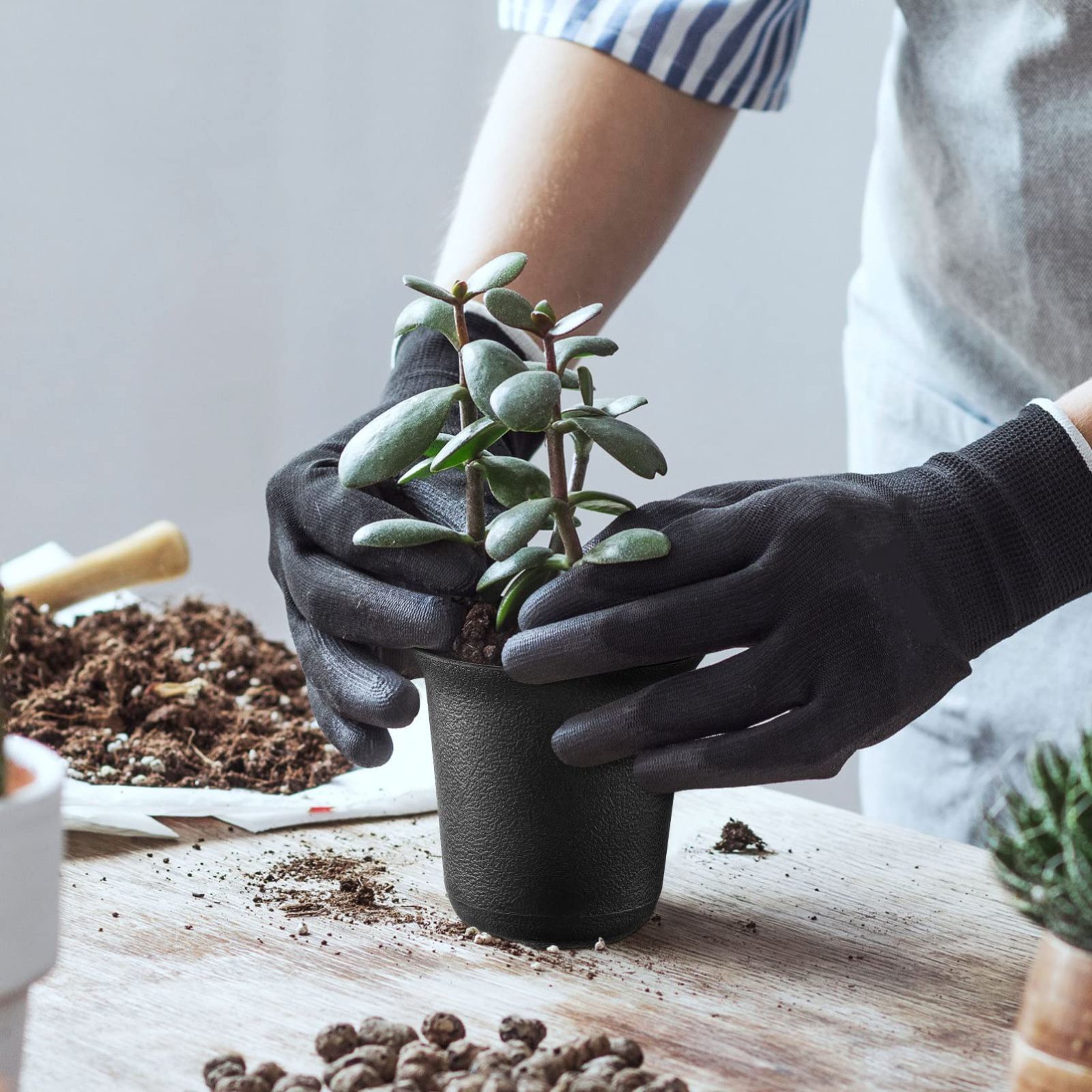 人気商品】ポット 植木鉢 プラスチック 鉢 プラスチック【 多肉植物