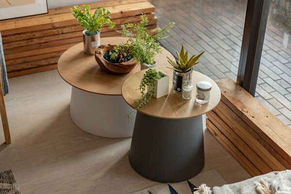 東谷 ラウンドテーブルL ホワイト φ69×H32.5 PT-991WH 丸型 サイド