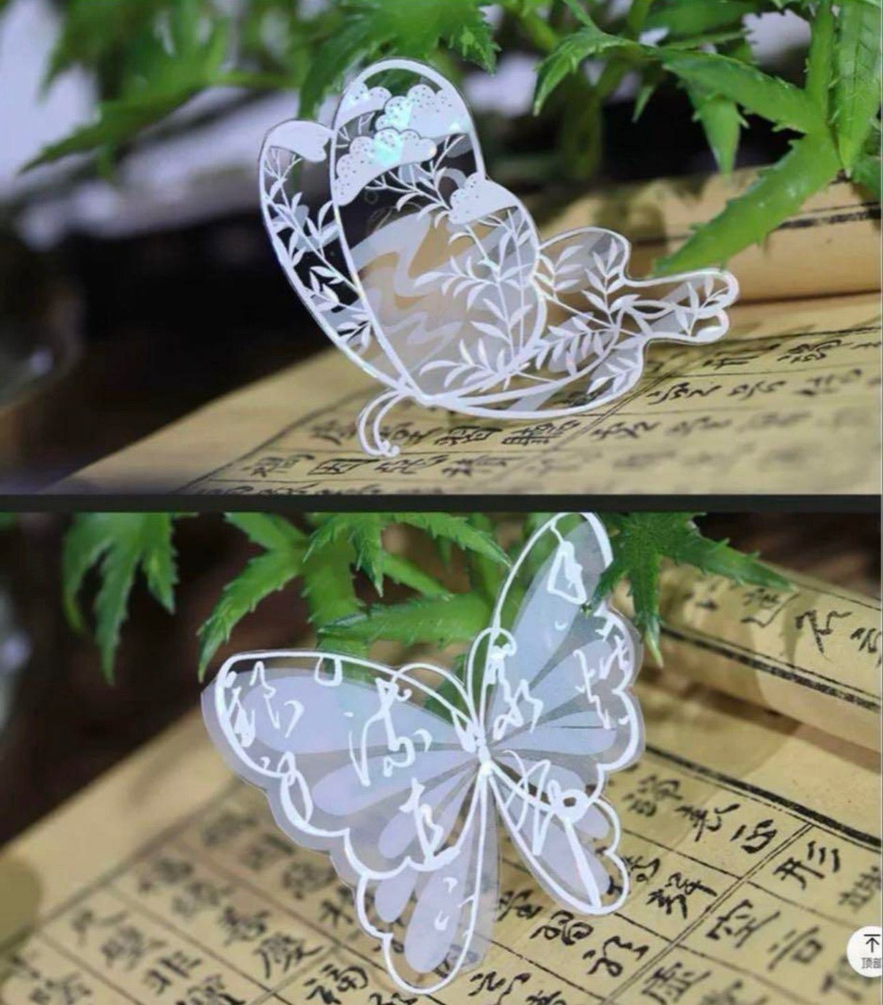 贝壳光 5.5cm×10m 墨笔栖蝶素白 海外マスキングテープ 海外マステ 和柄 WWW_USTAUSTRALIA_COM_AU