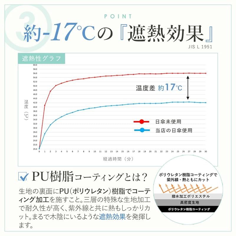 親骨55cm レディース