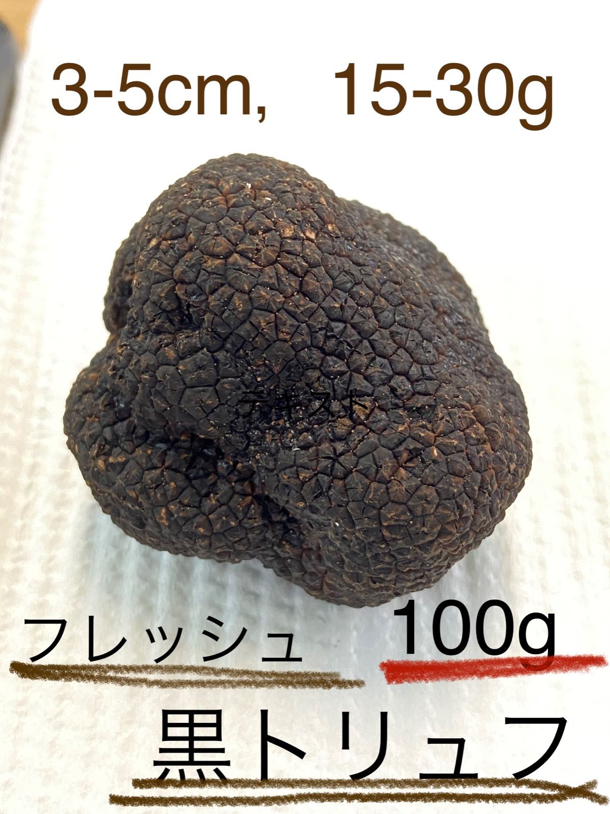 天然黒トリュフ 100g(天然セイヨウショウロ)