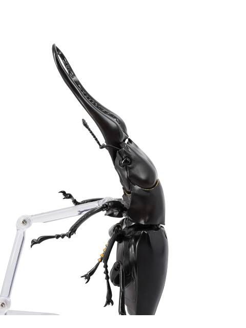 リボジオ　ギラファクワガタ 長大な大顎のクワガタ最大種！ 「リボジオ ギラファ