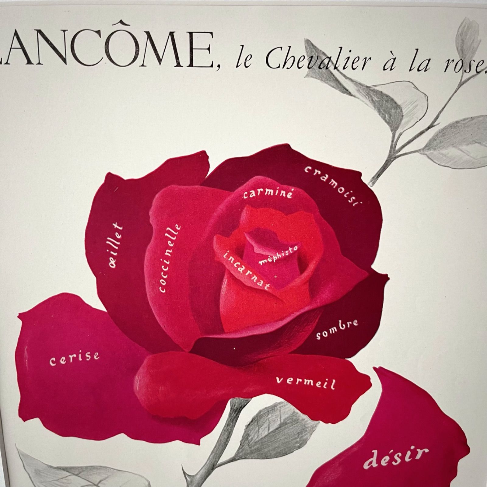 1952 広告＞LANCOME ランコム ポスター ヴィンテージ ビンテージ アートポスター 額縁 フレーム付き インテリア モダン おしゃれ  かわいい 壁掛け フランス ポップ 赤 花 バラ 英語 デザイン - メルカリ