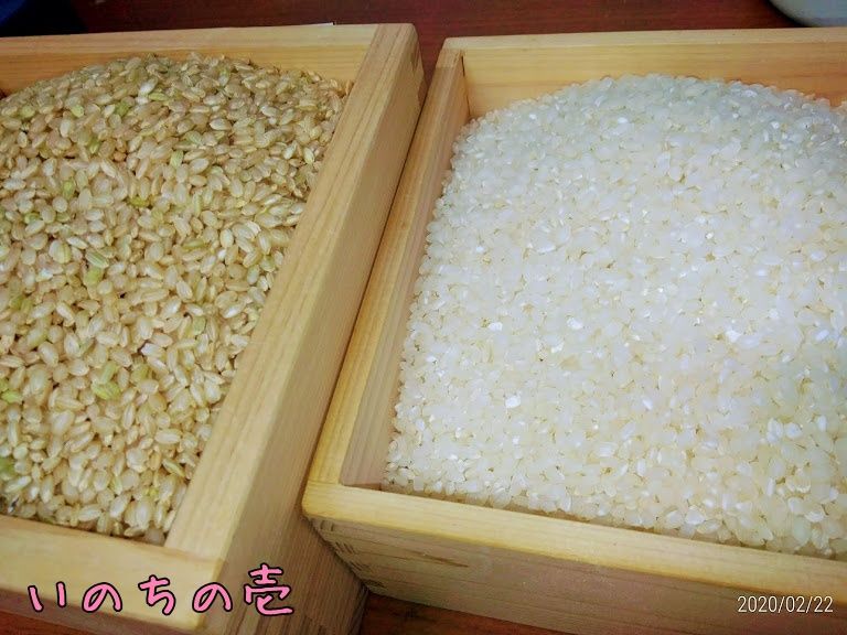 令和元年岐阜県東白川産いのちの壱玄米10kg