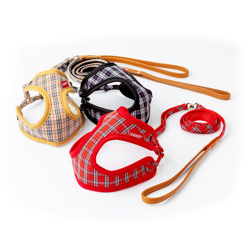 みみ　スノーピーク　プレイングリード　3個 ＆ドッグアンカー　セット snow peak（スノーピーク） プレイングリード | CLIMB STORE