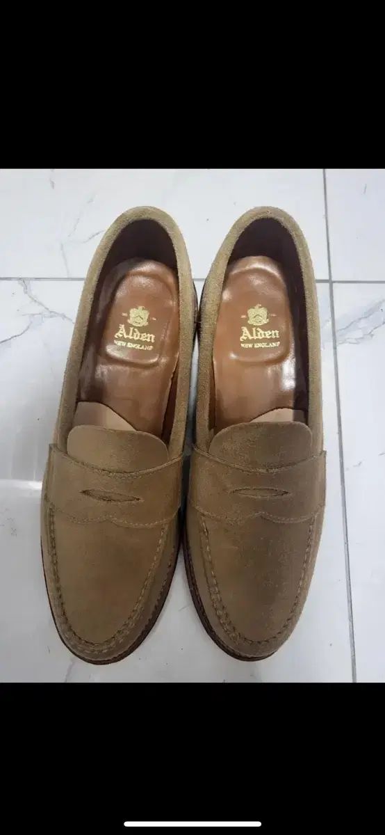 ALDEN オールデン 6244f 8D サイズ