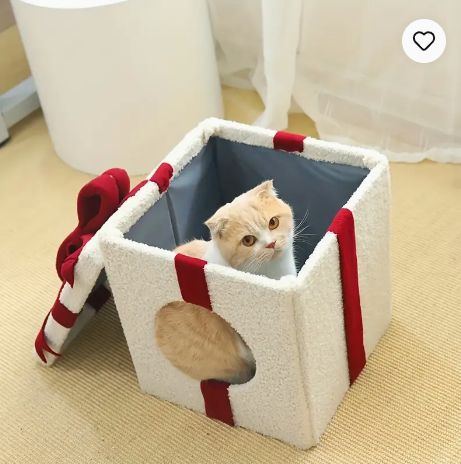 猫のためのオールシーズン快適