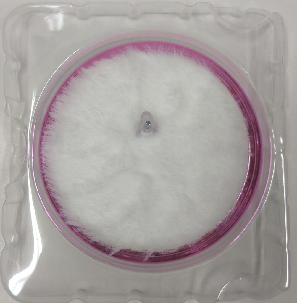 すーぱーそに子 Waveドリームテック 白水着Style 新品未開封 WAVE