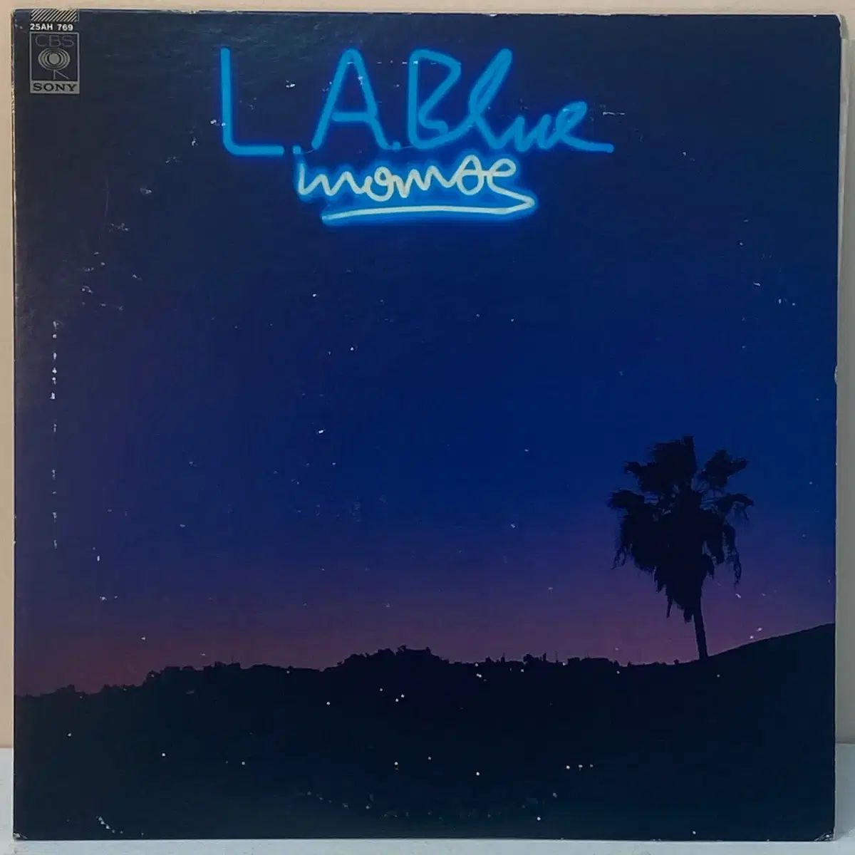 紫交趾 宝尽唐草 茶器