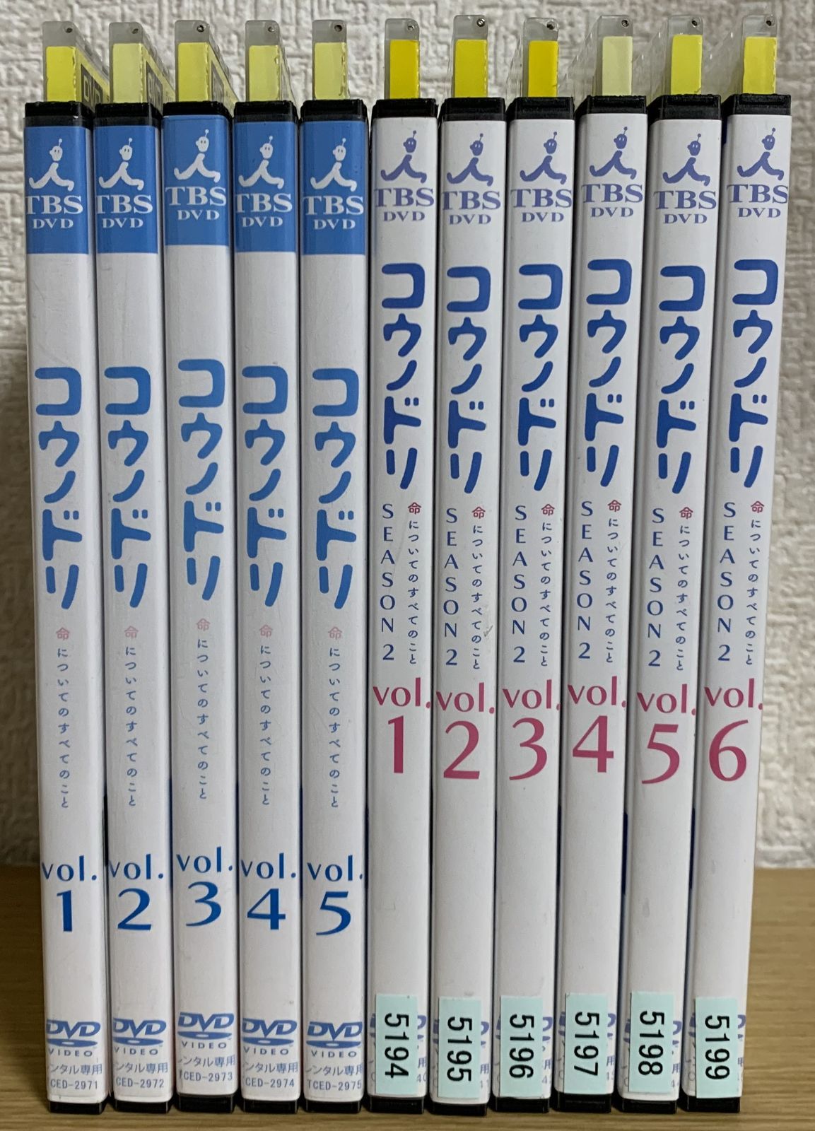 コウノドリ season1 + season2 DVD全巻セット - ☆新世界ストア ...