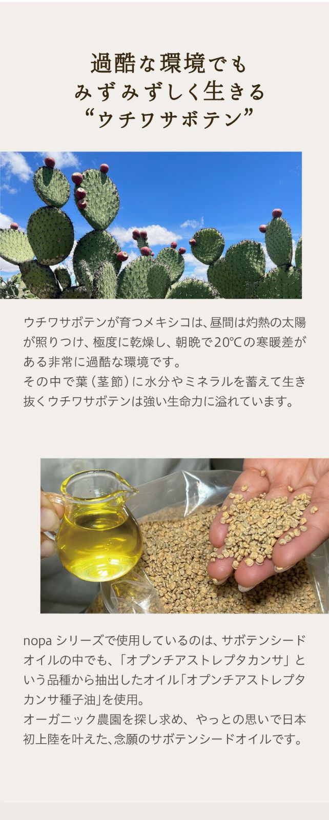 オロデレイナ オーガニックインフィニティオイル