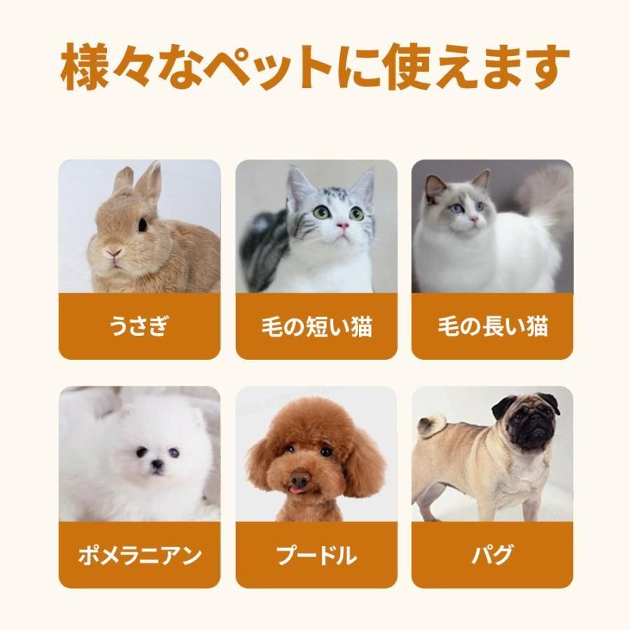 自動