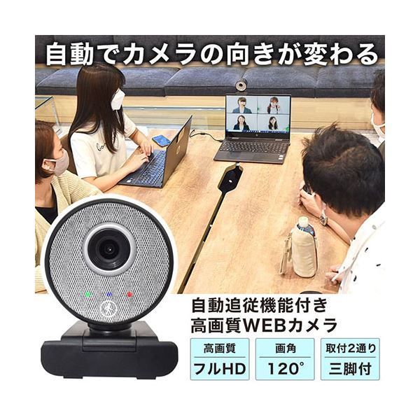 IC-TWC21B