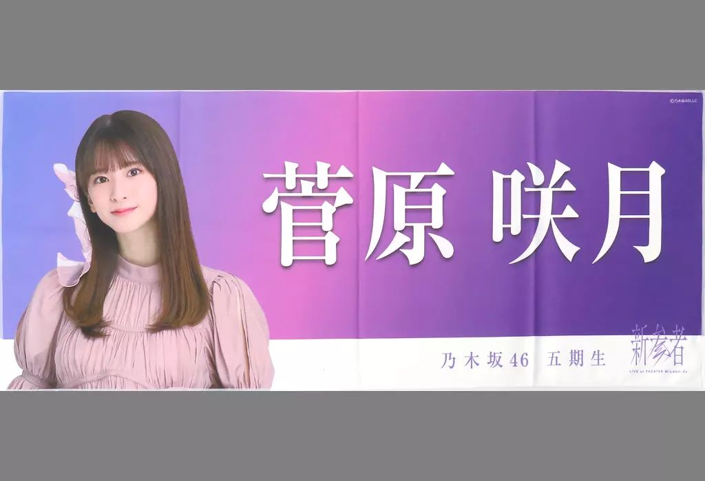 乃木坂46 菅原咲月　乃木フェス　直筆サイン入りタオル 菅原咲月 サイリウム タオル まとめ売り DZAF054Q乃木坂46 S賞直筆