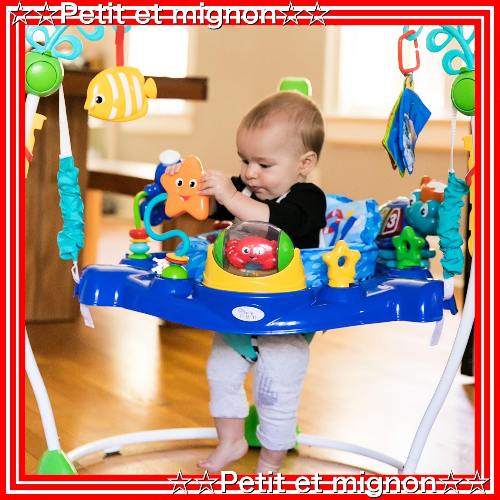 スピード発送】Japan) II Baby Einstein ベビーアインシュタイン