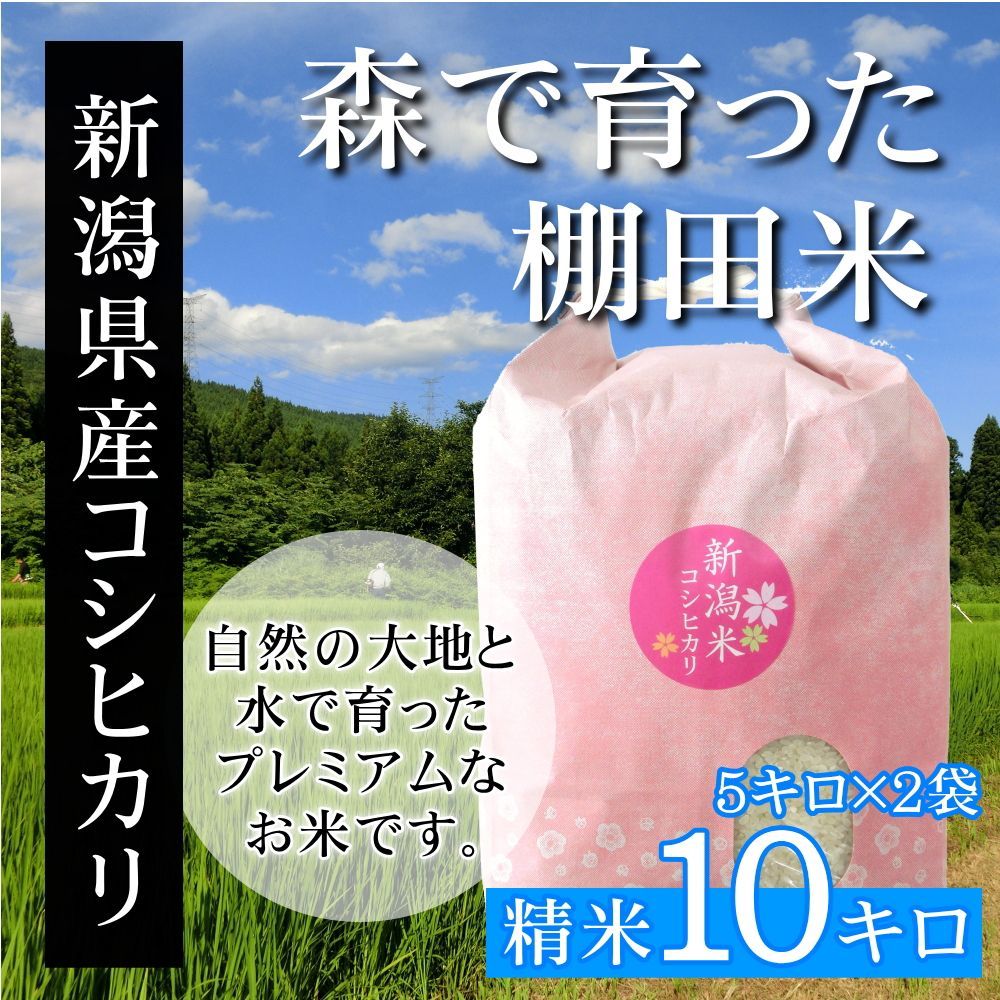 令和5年新潟加茂市七谷地区棚田米コシヒカリ30kg 真空包装5kg6袋-