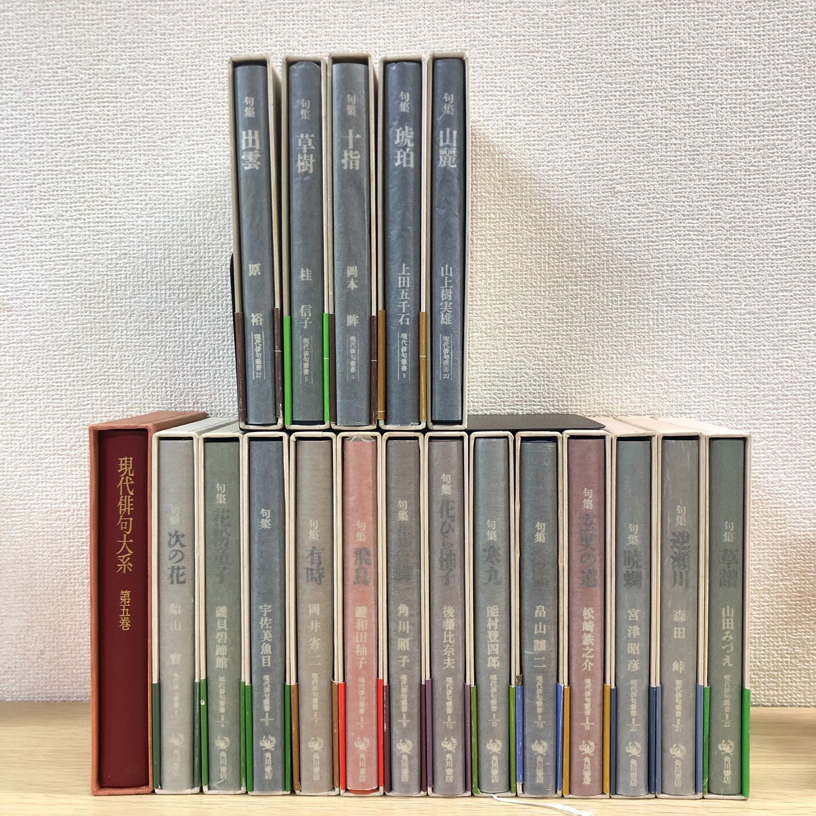 句集】現代俳句叢書 18冊 セット 【おまけ本付き！】 - メルカリ
