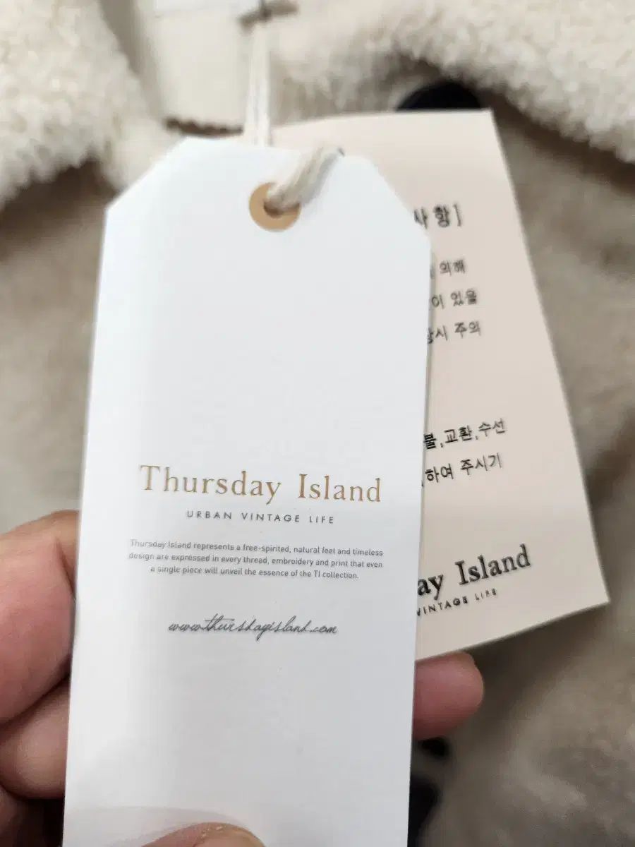 サースデーアイランド