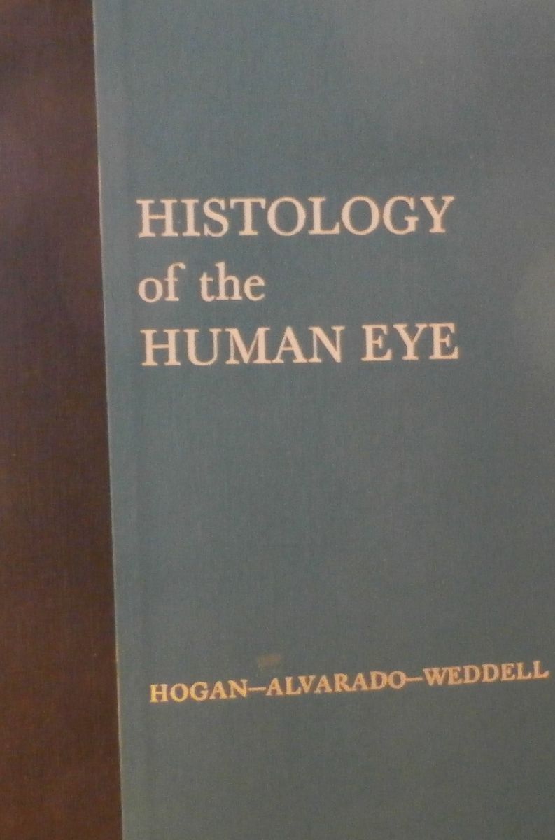 Histology of the Human Eye 本・雑誌・漫画 語学・辞書・学習参考書