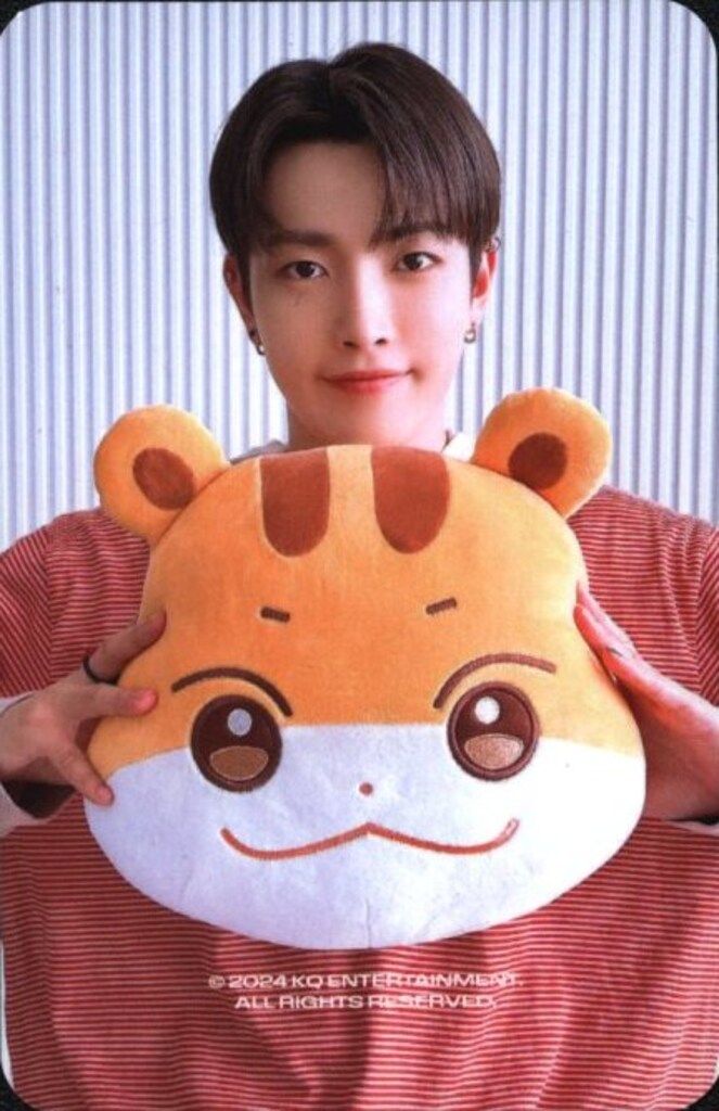 最安！ATEEZ ANITEEZ クッション ホンジュン ATEEZ クッション HONG JOONG ANITEEZ IN ICE CITY - メルカリ