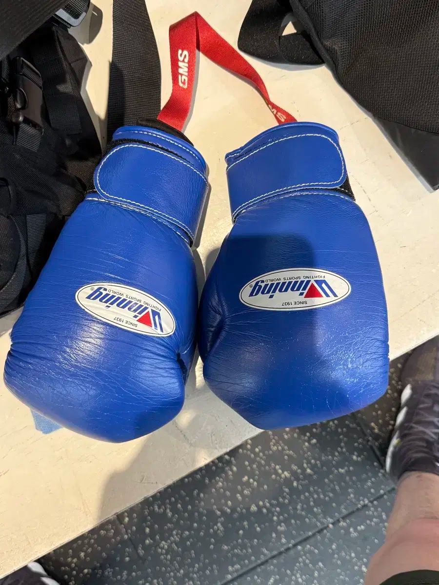 HULA hawaii ミッドレングスサーフボード7.0 HULA hawaii HULA hawaii ミッドレングスサーフボード7.0 HULA hawaii