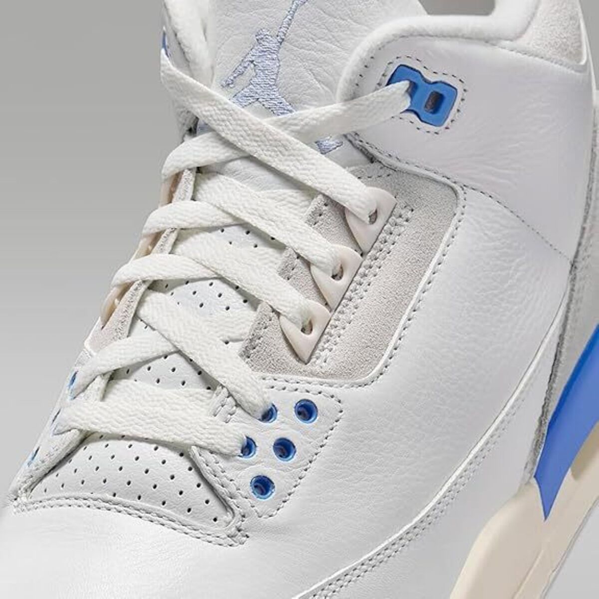 ナイキ] エア ジョーダン 3 レトロ [AIR JORDAN 3 RETRO Lucky Shorts 