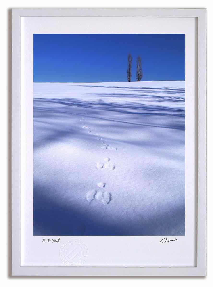 アートフォト 絵画 壁掛け 麦の丘と虹 富良野 美瑛 高橋真澄 インテリア 壁掛け 額入り モダン アートフレーム おしゃれ アートフォト 絵画 壁掛け 北海道 富良野 美瑛 麦畑にポプラ