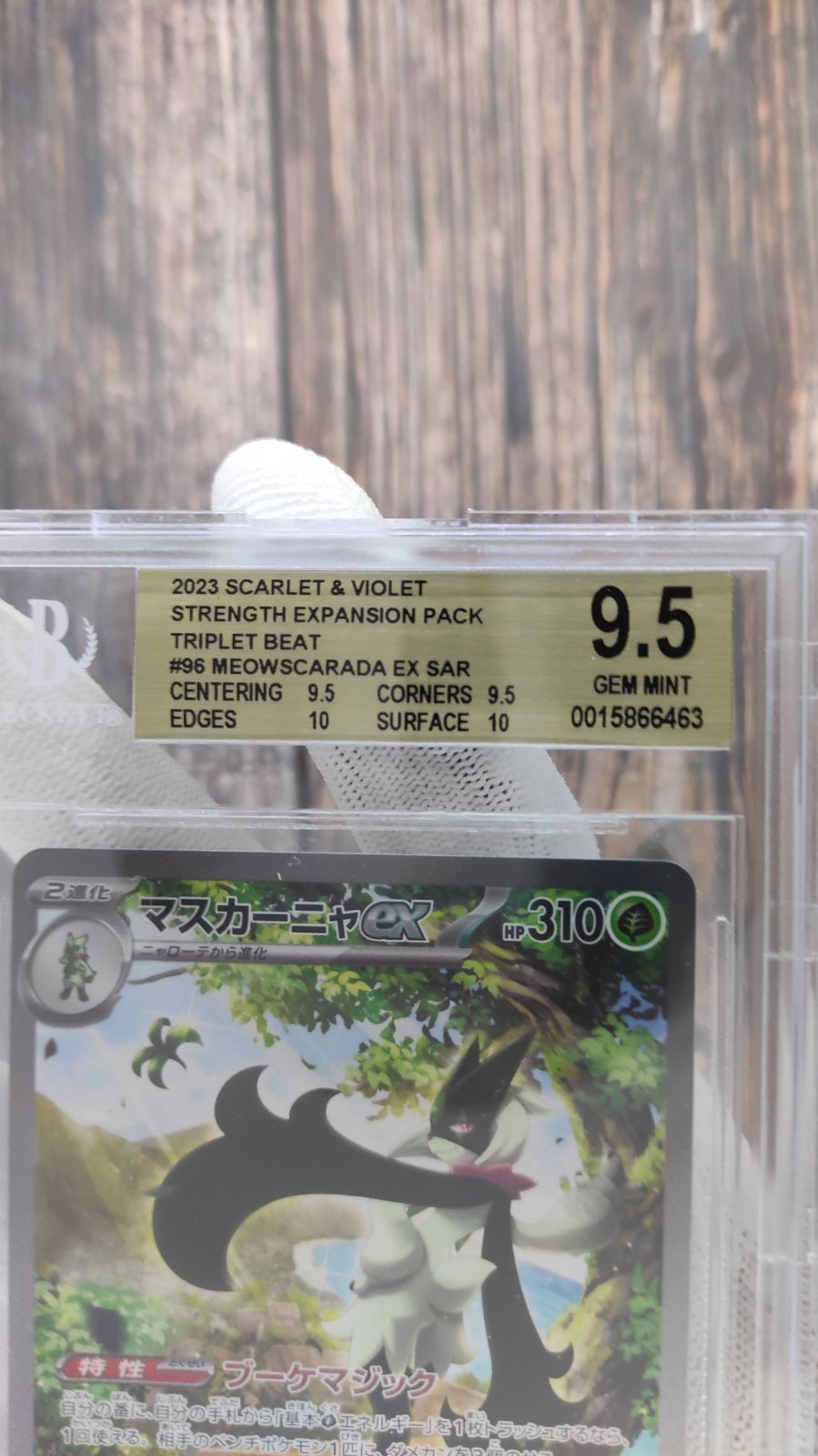 マスカーニャex sar bgs9.5 BGS9.5鑑定済〕マスカーニャex【SAR】{096/073}