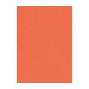 リンテック ニューカラーＲ 4 NCR-213 だいだい