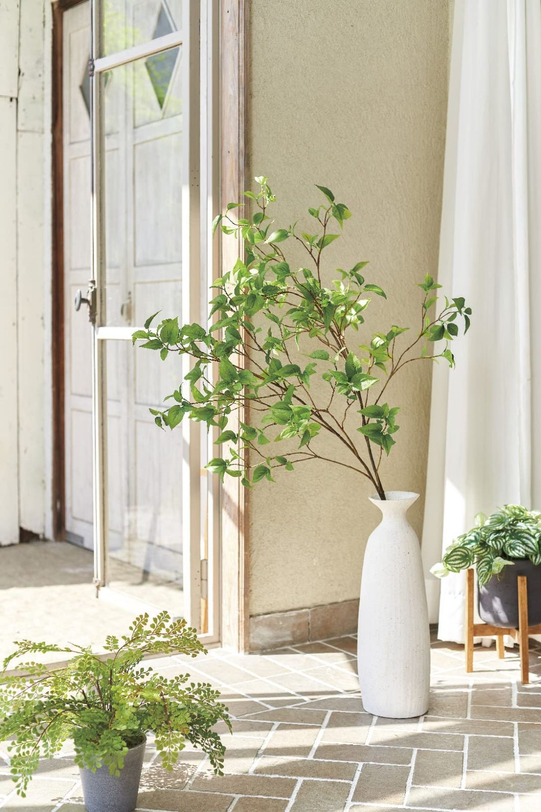 ドウダンツツジ枝 特大