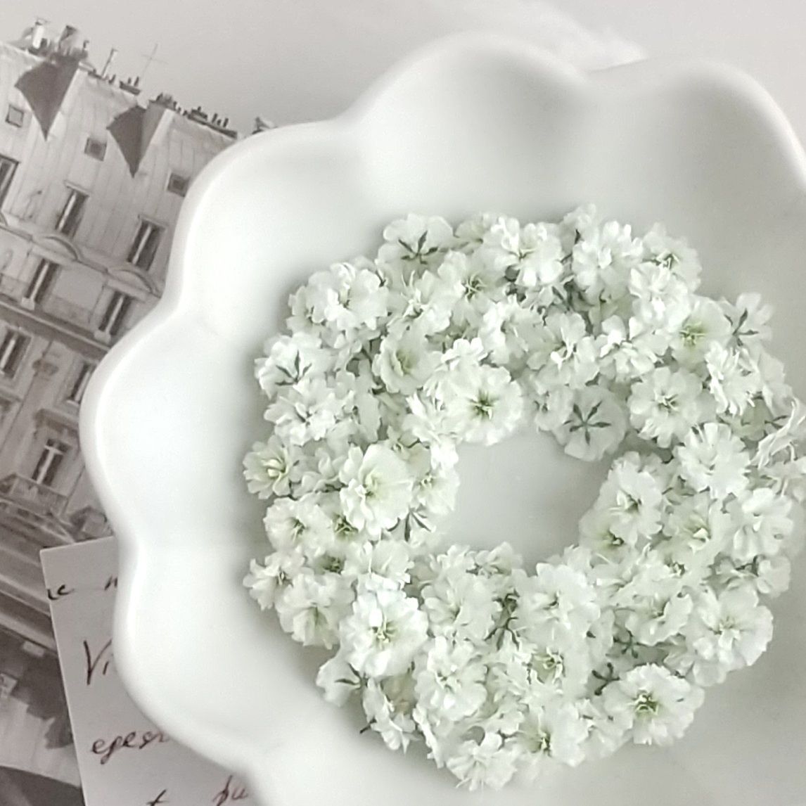 かすみ草様専用ページ 専用 - ☆かすみ草様専用☆ 新商品情報 かすみ草様専用ページ 専用 - ☆かすみ草様専用☆ 新商品情報