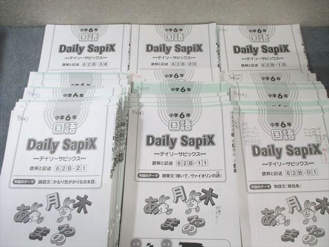 SAPIX サピックス 小6 国語 デイリー/スプリング/サマーサピックス 2024年度版 計100冊 ★ 298L2D SAPIX サピックス 小6 国語 2024年度版 デイリー/スプリング