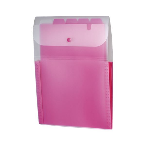 ❤️美品☆染谷俊「365」ドキュメントDVD☆全2枚セット