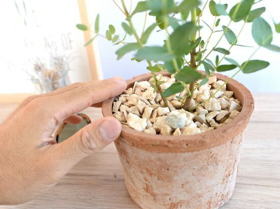 園芸用品 モダンアート植木鉢 ブラック×シルバー 素焼 観葉多肉植物